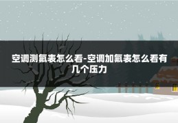空调测氟表怎么看-空调加氟表怎么看有几个压力