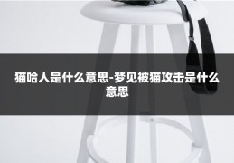 猫哈人是什么意思-梦见被猫攻击是什么意思