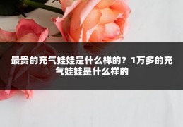 最贵的充气娃娃是什么样的?1万多的充气娃娃是什么样的