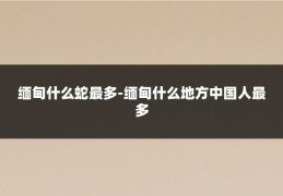 缅甸什么蛇最多-缅甸什么地方中国人最多