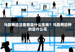 马路两边注意看是什么生肖？马路两边种的是什么花