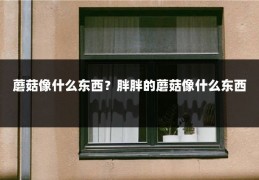 蘑菇像什么东西？胖胖的蘑菇像什么东西