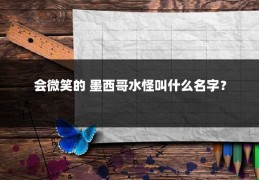 会微笑的 墨西哥水怪叫什么名字？