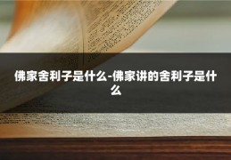 佛家舍利子是什么-佛家讲的舍利子是什么