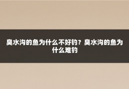 臭水沟的鱼为什么不好钓?臭水沟的鱼为什么难钓