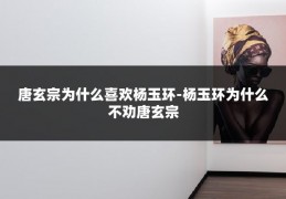 唐玄宗为什么喜欢杨玉环-杨玉环为什么不劝唐玄宗