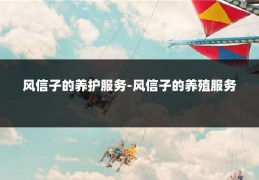 风信子的养护服务-风信子的养殖服务