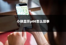 小锅显示p00怎么回事