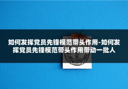 如何发挥党员先锋模范带头作用-如何发挥党员先锋模范带头作用带动一批人