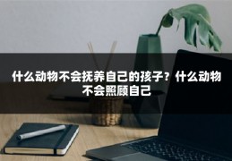 什么动物不会抚养自己的孩子?什么动物不会照顾自己