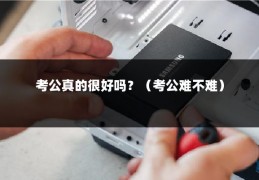 考公真的很好吗？（考公难不难）