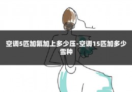 空调5匹加氟加上多少压-空调15匹加多少雪种