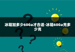 冰箱加多少600a才合适-冰箱600a充多少克