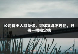 公司有小人欺负你，可你又斗不过他，只需一招搞定他