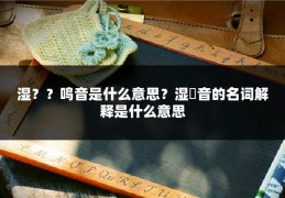 湿？？鸣音是什么意思？湿啰音的名词解释是什么意思