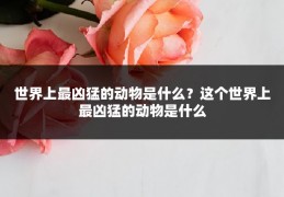 世界上最凶猛的动物是什么?这个世界上最凶猛的动物是什么