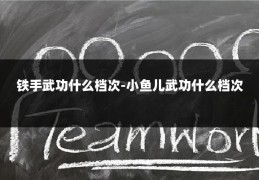 铁手武功什么档次-小鱼儿武功什么档次