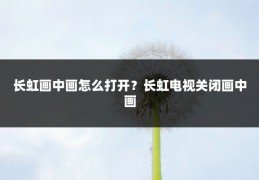 长虹画中画怎么打开?长虹电视关闭画中画