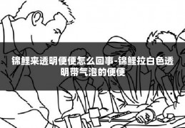 锦鲤来透明便便怎么回事-锦鲤拉白色透明带气泡的便便