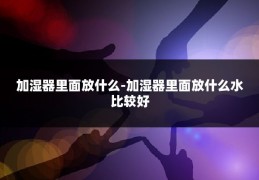 加湿器里面放什么-加湿器里面放什么水比较好