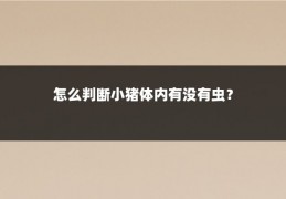 怎么判断小猪体内有没有虫?