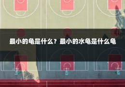 最小的龟是什么?最小的水龟是什么龟