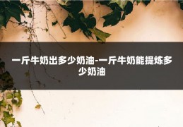 一斤牛奶出多少奶油-一斤牛奶能提炼多少奶油