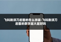飞科剃须刀后面的怎么拼装-飞科剃须刀后面的数字越大越好吗