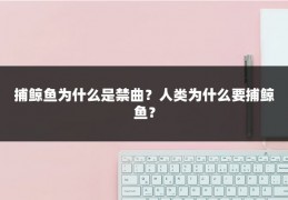 捕鲸鱼为什么是禁曲？人类为什么要捕鲸鱼？