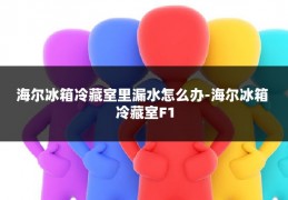海尔冰箱冷藏室里漏水怎么办-海尔冰箱 冷藏室F1