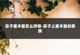 鼻子塞木塞怎么呼吸-鼻子上塞木塞的民族