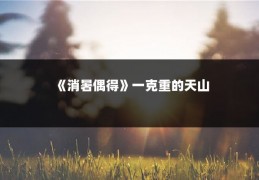 《消暑偶得》一克重的天山