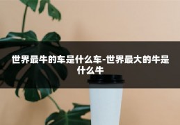 世界最牛的车是什么车-世界最大的牛是什么牛