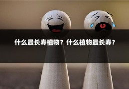 什么最长寿植物?什么植物最长寿?