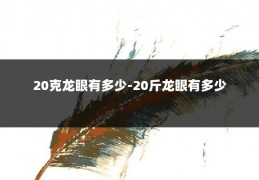 20克龙眼有多少-20斤龙眼有多少