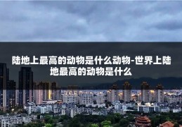 陆地上最高的动物是什么动物-世界上陆地最高的动物是什么