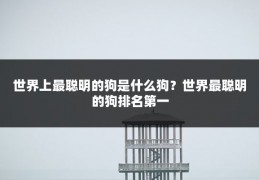 世界上最聪明的狗是什么狗？世界最聪明的狗排名第一