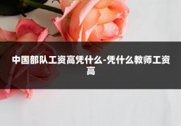 中国部队工资高凭什么-凭什么教师工资高