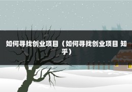 如何寻找创业项目（如何寻找创业项目 知乎）