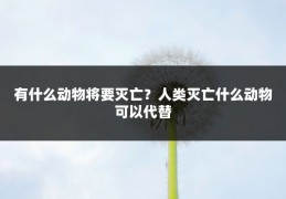 有什么动物将要灭亡?人类灭亡什么动物可以代替