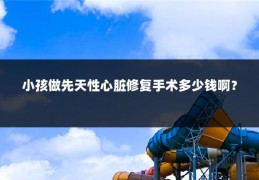 小孩做先天性心脏修复手术多少钱啊?