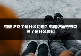 电磁炉烧了是什么问题？电磁炉面板被烧黑了是什么原因