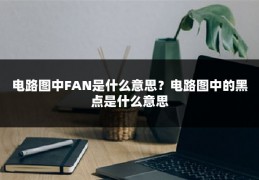 电路图中FAN是什么意思?电路图中的黑点是什么意思
