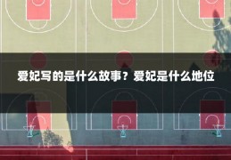 爱妃写的是什么故事?爱妃是什么地位