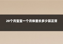 20个月宝宝一个月体重长多少算正常