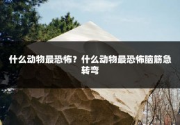 什么动物最恐怖?什么动物最恐怖脑筋急转弯