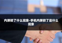 内屏碎了什么现象-手机内屏碎了是什么现象