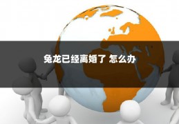 兔龙已经离婚了 怎么办