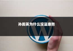 孙殿英为什么没盗康熙