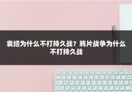 袁绍为什么不打持久战？鸦片战争为什么不打持久战
